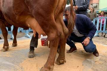 Los Llanos celebra el día grande de sus fiestas (Foto TA)